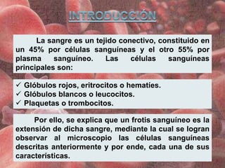 La sangre es un tejido conectivo, constituido en
un 45% por células sanguíneas y el otro 55% por
plasma sanguíneo. Las células sanguíneas
principales son:
 Glóbulos rojos, eritrocitos o hematíes.
 Glóbulos blancos o leucocitos.
 Plaquetas o trombocitos.
Por ello, se explica que un frotis sanguíneo es la
extensión de dicha sangre, mediante la cual se logran
observar al microscopio las células sanguíneas
descritas anteriormente y por ende, cada una de sus
características.
 