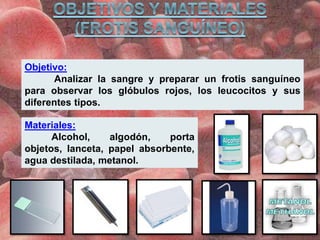 Objetivo:
Analizar la sangre y preparar un frotis sanguíneo
para observar los glóbulos rojos, los leucocitos y sus
diferentes tipos.
Materiales:
Alcohol, algodón, porta
objetos, lanceta, papel absorbente,
agua destilada, metanol.
 
