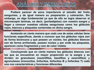 Pudiera parecer de poca importancia el estudio del frotis
sanguíneo, y de igual manera su preparación y coloración. Sin
embargo, es algo fundamental ya que de ello se logra observar al
microscopio laminas, es decir, (portaobjetos) con nuestra sangre y
llegar a conocer nuestras células sanguíneas como los glóbulos
rojos, blancos y plaquetas contenidas en dicha sangre.
Acotando en cierta manera que cada una de estas células tiene
funciones especificas, dando a conocer que los glóbulos rojos son
de forma bicóncava y que poseen un núcleo, los glóbulos blancos
son de forma arriñonada, poseen núcleo y por ende las plaquetas,
aparecen como fragmentos y son de color violeta.
Concluyendo que en cierta manera los glóbulos blancos son
los que se encuentran en mayor proporción en la sangre y se
dividen en granulosos (neutrófilos, basófilos y eosinófilos) y
agranulosos (monocitos, linfocitos, linfocitos B y linfocitos T) cada
uno con características y funciones diferentes.
 