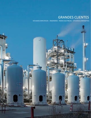 GRANDES CLIENTES 
ESTUDIOS ESPECIFICOS – INGENIERIA – REDES ELECTRICAS – EFICIENCIA ENERGÉTICA 
 