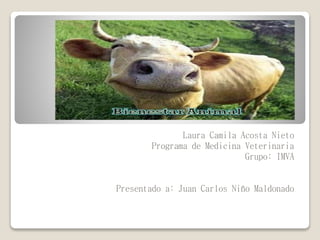 Laura Camila Acosta Nieto
Programa de Medicina Veterinaria
Grupo: IMVA
Presentado a: Juan Carlos Niño Maldonado
 