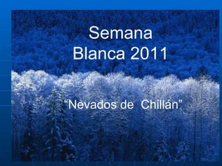 Semana Blanca 2010 “  Nevados de Chillán “ Semana Blanca 2011 “ Nevados de  Chillán” 