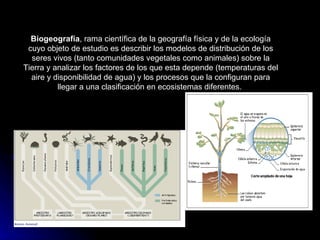 Biogeografía , rama científica de la geografía física y de la ecología cuyo objeto de estudio es describir los modelos de distribución de los seres vivos (tanto comunidades vegetales como animales) sobre la Tierra y analizar los factores de los que esta depende (temperaturas del aire y disponibilidad de agua) y los procesos que la configuran para llegar a una clasificación en ecosistemas diferentes.  