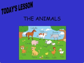 THE   ANIMALS TODAY'S LESSON 