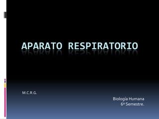 APARATO RESPIRATORIO



M.C.R.G.
               Biología Humana
                   6º Semestre.
 