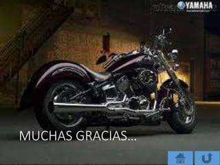 MUCHAS GRACIAS…
 