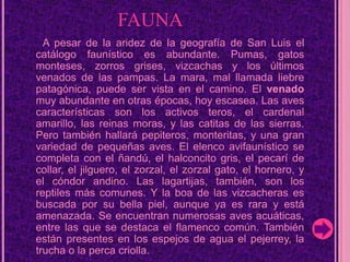                    FAUNA      A pesar de la aridez de la geografía de San Luis el catálogo faunístico es abundante. Pumas, gatos monteses, zorros grises, vizcachas y los últimos venados de las pampas. La mara, mal llamada liebre patagónica, puede ser vista en el camino. El venado muy abundante en otras épocas, hoy escasea. Las aves características son los activos teros, el cardenal amarillo, las reinas moras, y las catitas de las sierras. Pero también hallará pepiteros, monteritas, y una gran variedad de pequeñas aves. El elenco avifaunístico se completa con el ñandú, el halconcito gris, el pecarí de collar, el jilguero, el zorzal, el zorzal gato, el hornero, y el cóndor andino. Las lagartijas, también, son los reptiles más comunes. Y la boa de las vizcacheras es buscada por su bella piel, aunque ya es rara y está amenazada. Se encuentran numerosas aves acuáticas, entre las que se destaca el flamenco común. También están presentes en los espejos de agua el pejerrey, la trucha o la perca criolla.
