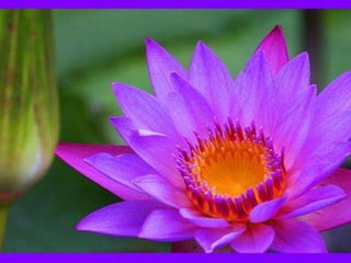 Presentación power point b2 b