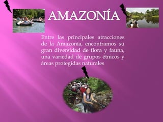Entre las principales atracciones
de la Amazonía, encontramos su
gran diversidad de flora y fauna,
una variedad de grupos étnicos y
áreas protegidas naturales