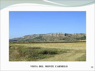 VISTA  DEL  MONTE  CARMELO 10 