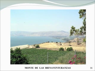 MONTE  DE  LAS  BIENAVENTURANZAS 16 