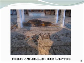 LUGAR DE LA MULTIPLICACIÓN DE LOS PANES Y PECES 18 