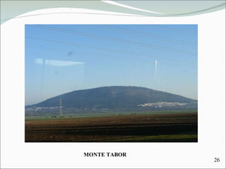 MONTE TABOR 26 