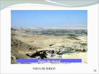 VISTA DE JERICÓ 29 
