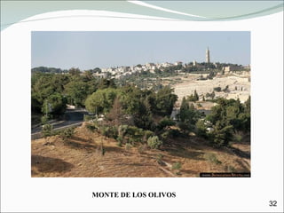 MONTE DE LOS OLIVOS 32 
