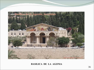 BASILICA  DE  LA  AGONIA 36 