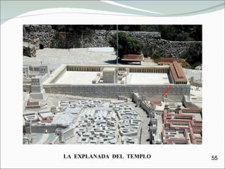 55 LA  EXPLANADA  DEL  TEMPLO 