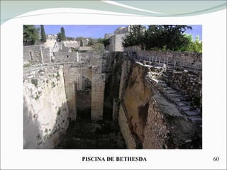 PISCINA DE BETHESDA 60 