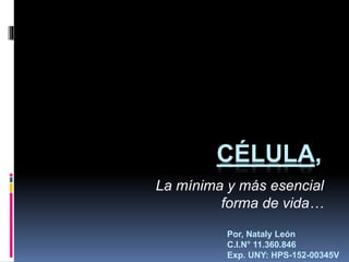 CÉLULA,
La mínima y más esencial
forma de vida…
Por, Nataly León
C.I.N° 11.360.846
Exp. UNY: HPS-152-00345V
 
