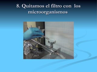 8. Quitamos el filtro con  los microorganismos  
