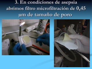 3. En condiciones de asepsia abrimos filtro microfiltración de  0,45 µm de tamaño de poro  