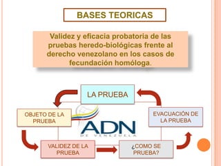 BASES TEORICAS
Validez y eficacia probatoria de las
pruebas heredo-biológicas frente al
derecho venezolano en los casos de
fecundación homóloga.

LA PRUEBA
OBJETO DE LA
PRUEBA

VALIDEZ DE LA
PRUEBA

EVACUACIÓN DE
LA PRUEBA

¿COMO SE
PRUEBA?

 