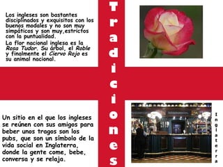 T r a d i c i o n e s Un sitio en el que los ingleses se reúnen con sus amigos para beber unos tragos son los pubs, que son un símbolo de la vida social en Inglaterra, donde la gente come, bebe, conversa y se relaja. Los ingleses son bastantes disciplinados y exquisitos con los buenos modales y no son muy simpáticos y son muy,estrictos con la puntualidad. La flor nacional inglesa es la  Rosa Tudor.  Su árbol, el  Roble  y finalmente el  Ciervo Rojo  es su animal nacional. I n g l a t e r r a 