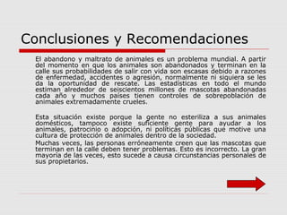 Conclusiones y Recomendaciones
El abandono y maltrato de animales es un problema mundial. A partir
del momento en que los animales son abandonados y terminan en la
calle sus probabilidades de salir con vida son escasas debido a razones
de enfermedad, accidentes o agresión, normalmente ni siquiera se les
da la oportunidad de rescate. Las estadísticas en todo el mundo
estiman alrededor de seiscientos millones de mascotas abandonadas
cada año y muchos países tienen controles de sobrepoblación de
animales extremadamente crueles.
Esta situación existe porque la gente no esteriliza a sus animales
domésticos, tampoco existe suficiente gente para ayudar a los
animales, patrocinio o adopción, ni políticas públicas que motive una
cultura de protección de animales dentro de la sociedad.
Muchas veces, las personas erróneamente creen que las mascotas que
terminan en la calle deben tener problemas. Esto es incorrecto. La gran
mayoría de las veces, esto sucede a causa circunstancias personales de
sus propietarios.
 