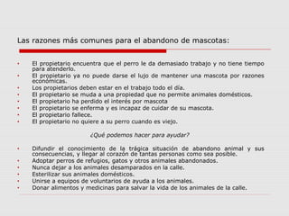 Las razones más comunes para el abandono de mascotas:
• El propietario encuentra que el perro le da demasiado trabajo y no tiene tiempo
para atenderlo.
• El propietario ya no puede darse el lujo de mantener una mascota por razones
económicas.
• Los propietarios deben estar en el trabajo todo el día.
• El propietario se muda a una propiedad que no permite animales domésticos.
• El propietario ha perdido el interés por mascota
• El propietario se enferma y es incapaz de cuidar de su mascota.
• El propietario fallece.
• El propietario no quiere a su perro cuando es viejo.
¿Qué podemos hacer para ayudar?
• Difundir el conocimiento de la trágica situación de abandono animal y sus
consecuencias, y llegar al corazón de tantas personas como sea posible.
• Adoptar perros de refugios, gatos y otros animales abandonados.
• Nunca dejar a los animales desamparados en la calle.
• Esterilizar sus animales domésticos.
• Unirse a equipos de voluntarios de ayuda a los animales.
• Donar alimentos y medicinas para salvar la vida de los animales de la calle.
 