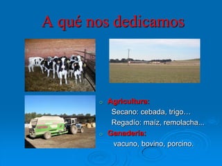 A qué nos dedicamos



       o   Agricultura:
            Secano: cebada, trigo…
            Regadío: maíz, remolacha...
       o   Ganadería:
            vacuno, bovino, porcino.
 