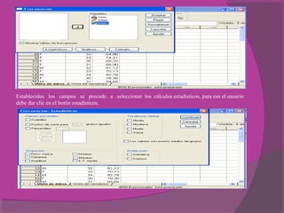 Establecidos los campos se procede a seleccionar los cálculos estadísticos, para eso el usuario
debe dar clic en el botón estadísticos.
 