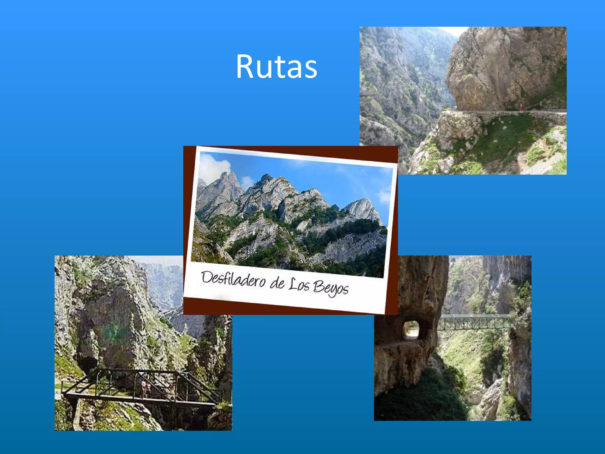 Rutas 