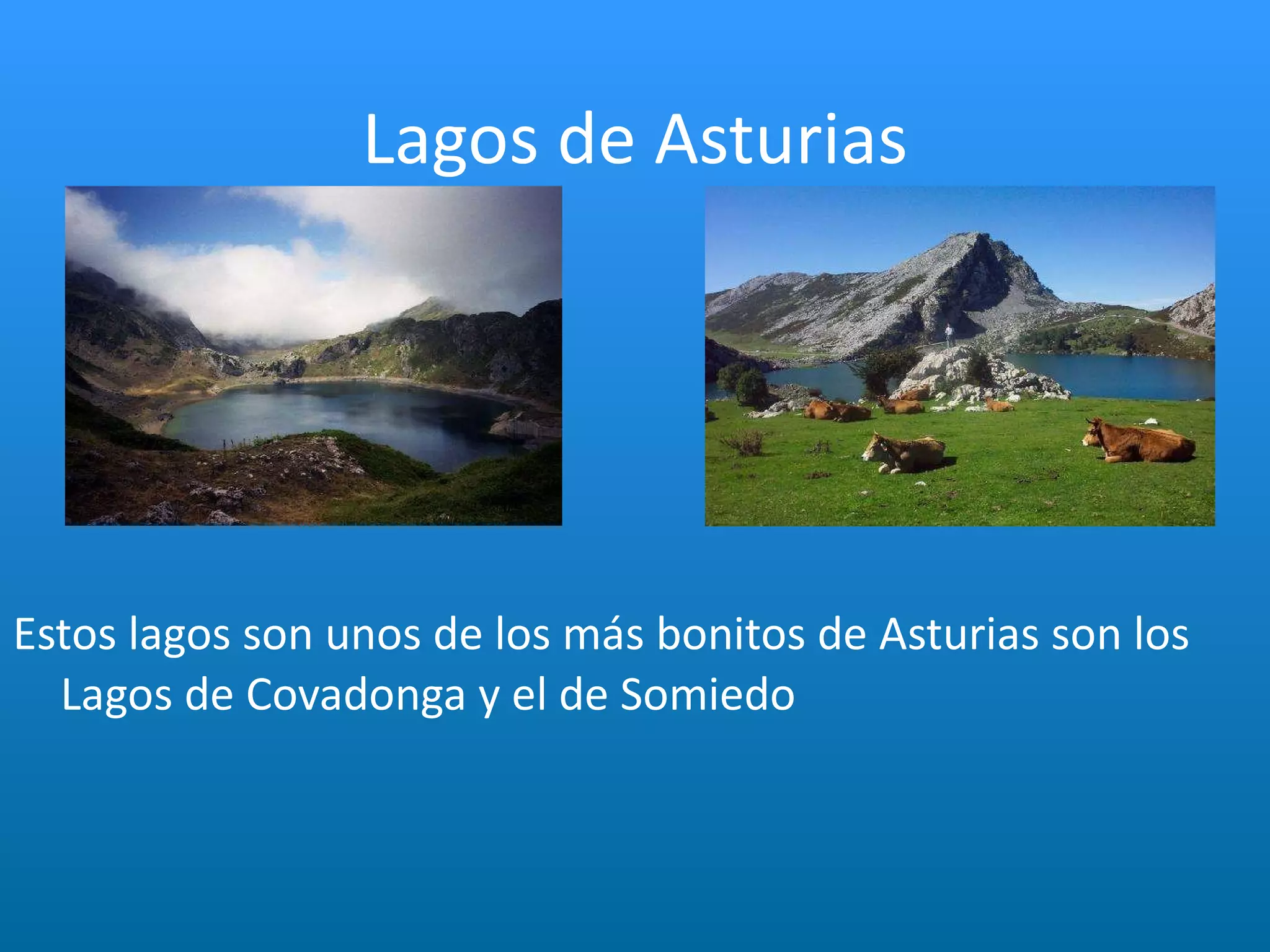 Lagos de Asturias Estos lagos son unos de los más bonitos de Asturias son los Lagos de Covadonga y el de Somiedo 