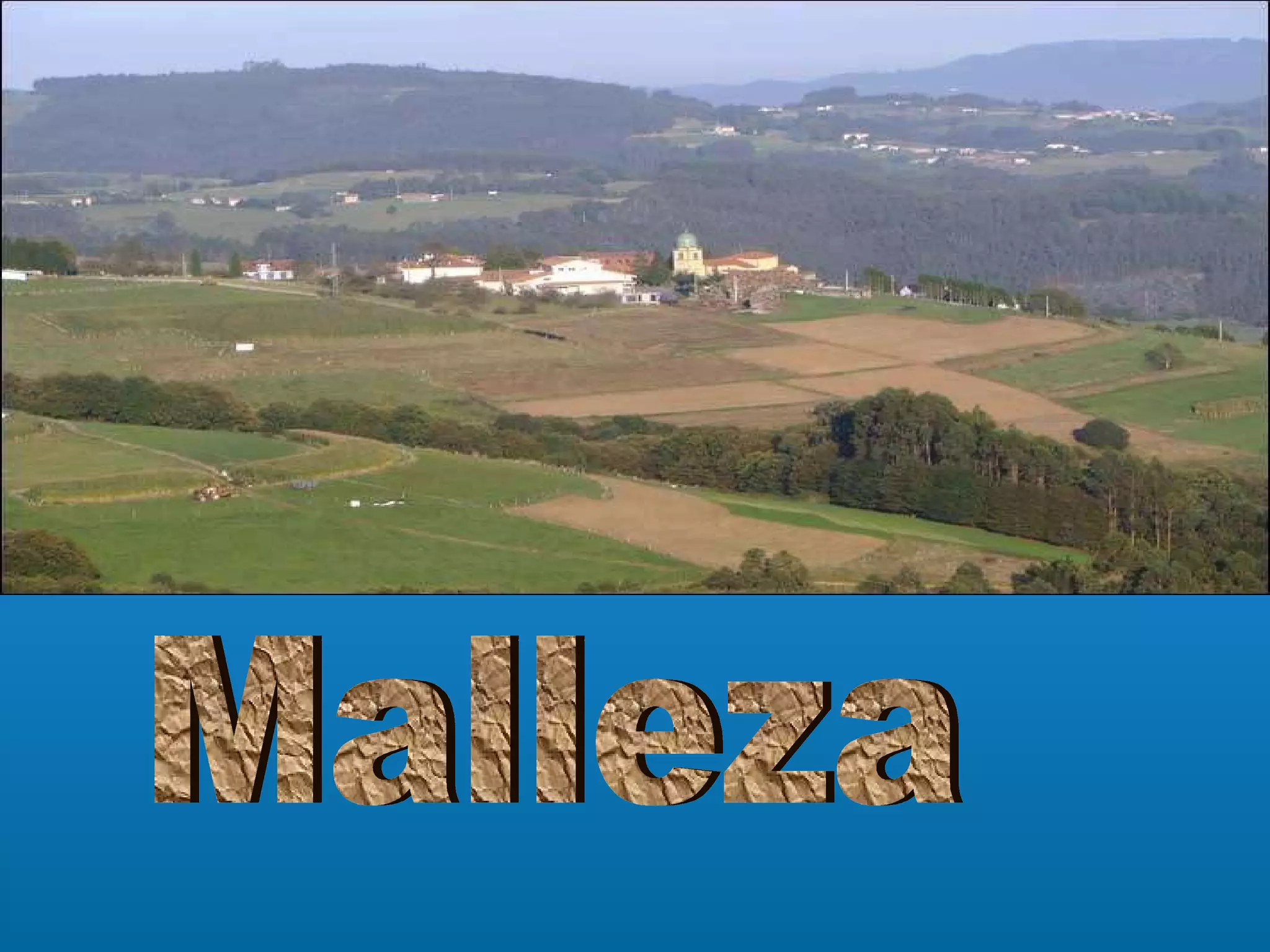 Malleza 