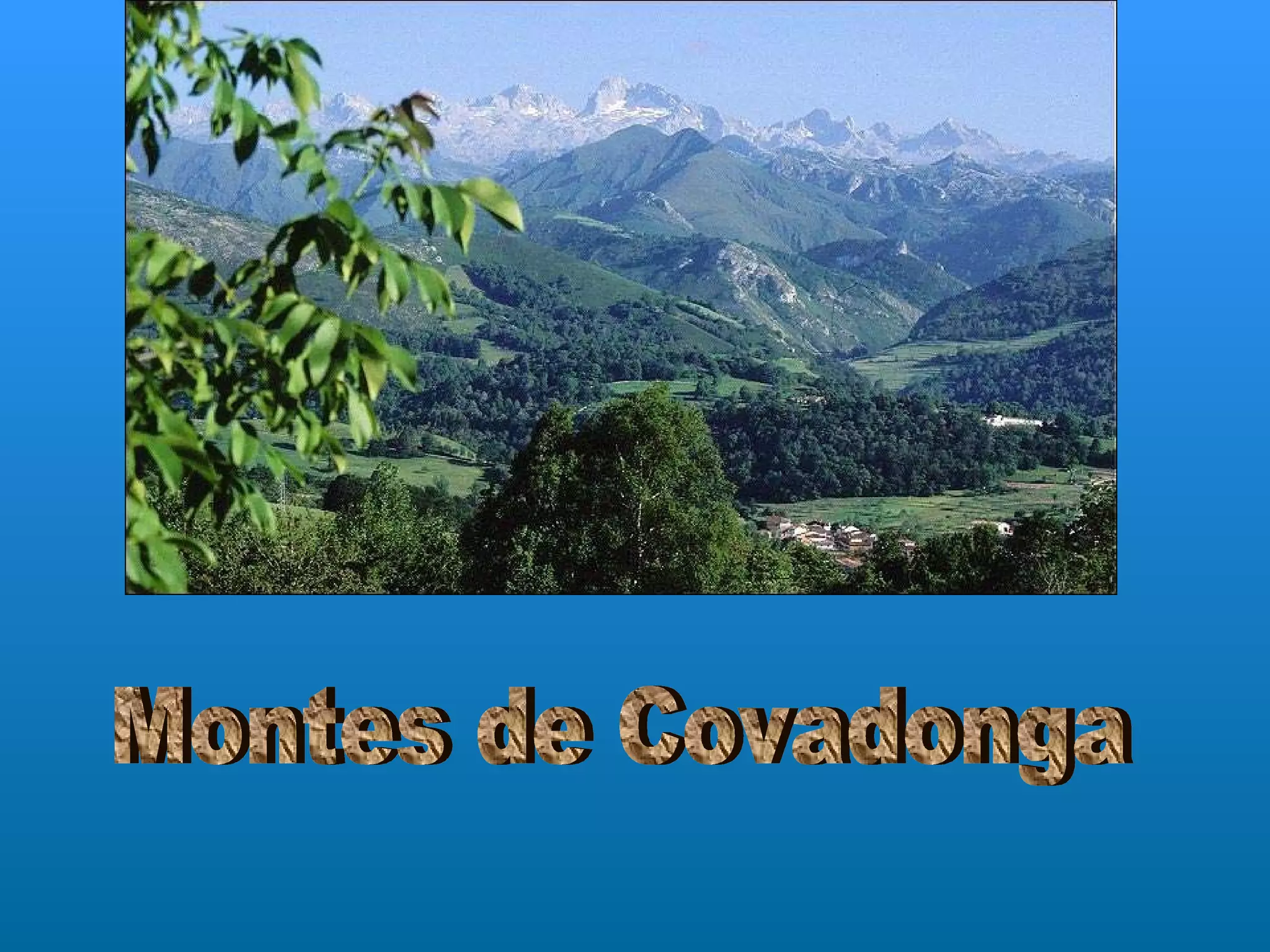 Montes de Covadonga 
