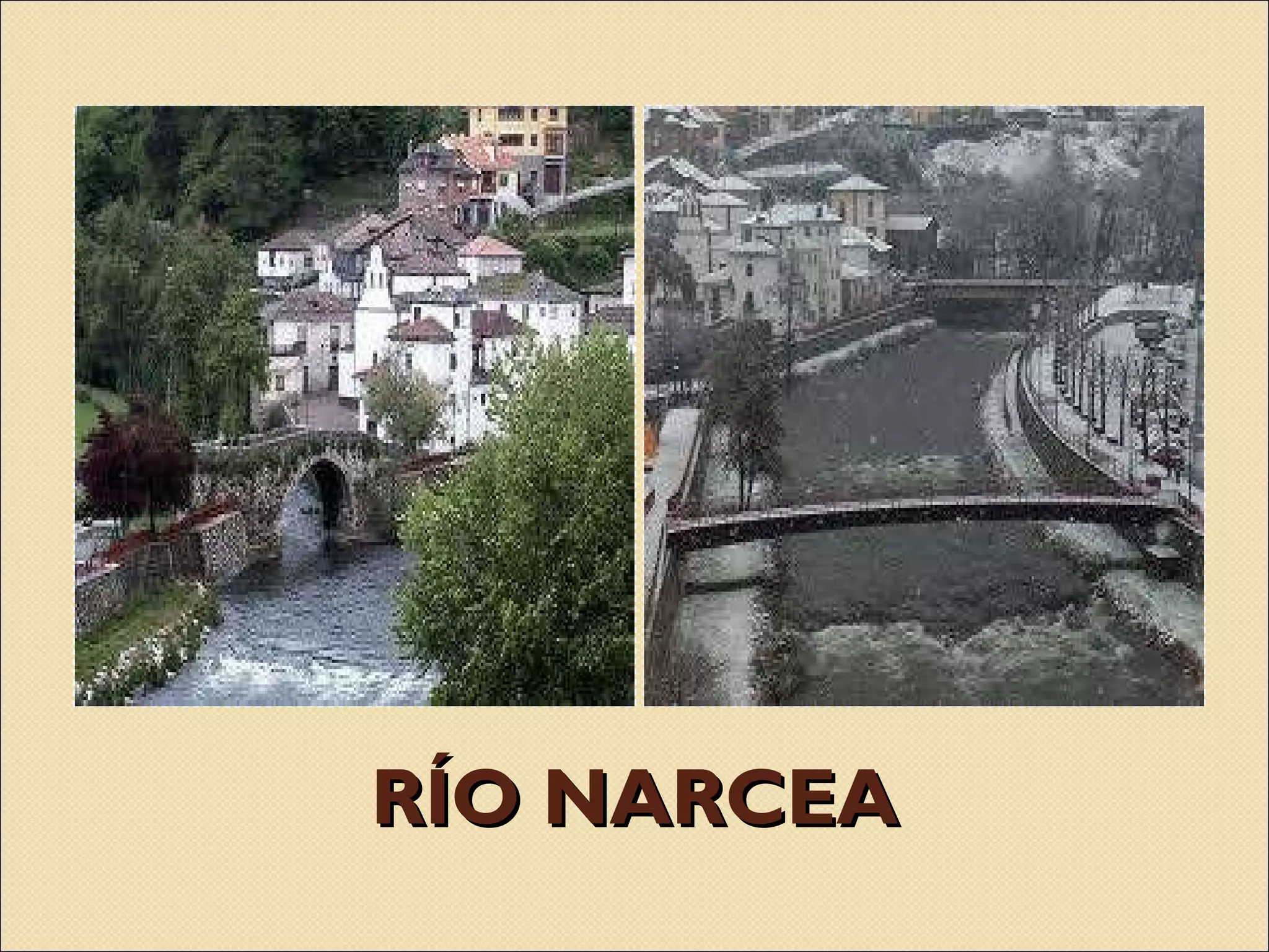 RÍO NARCEA 