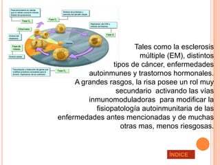                            Tales como la esclerosis
                              múltiple (EM), distintos
                     tipos de cáncer, enfermedades
             autoinmunes y trastornos hormonales.
         A grandes rasgos, la risa posee un rol muy
                      secundario activando las vías
             inmunomoduladoras para modificar la
               fisiopatología autoinmunitaria de las
    enfermedades antes mencionadas y de muchas
                        otras mas, menos riesgosas.


                                       ÍNDICE
 
