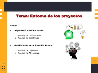 Instructions for use
3
TEMAS
◼ Diagnóstico situación actual
❑ Análisis de Involucrados
❑ Análisis de problemas
◼ Identificación de la Situación Futura
❑ Análisis de Objetivos
❑ Análisis de Alternativas
 