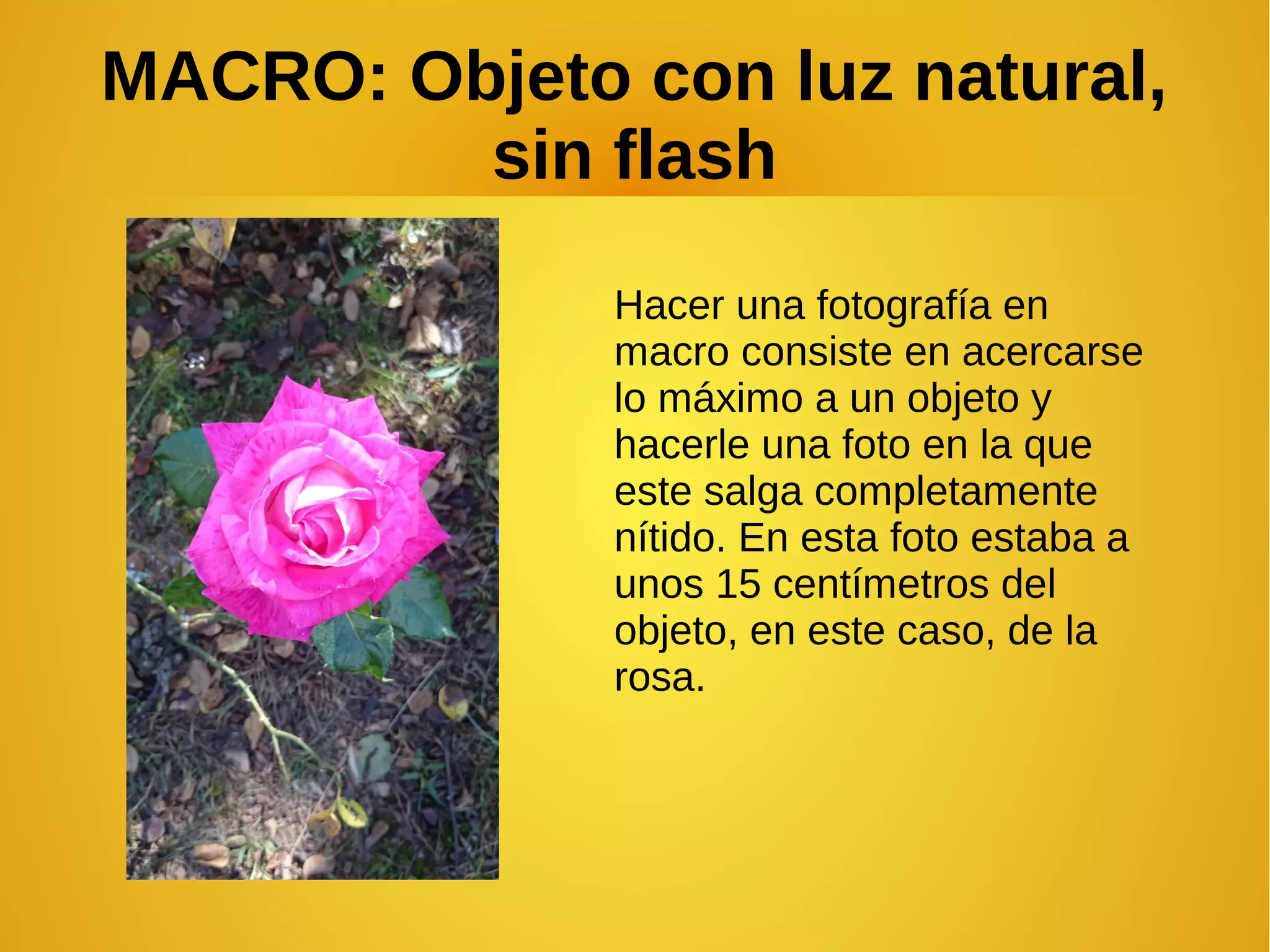 MACRO: Objeto con luz natural, 
sin flash 
Hacer una fotografía en 
macro consiste en acercarse 
lo máximo a un objeto y 
hacerle una foto en la que 
este salga completamente 
nítido. En esta foto estaba a 
unos 15 centímetros del 
objeto, en este caso, de la 
rosa. 
 
