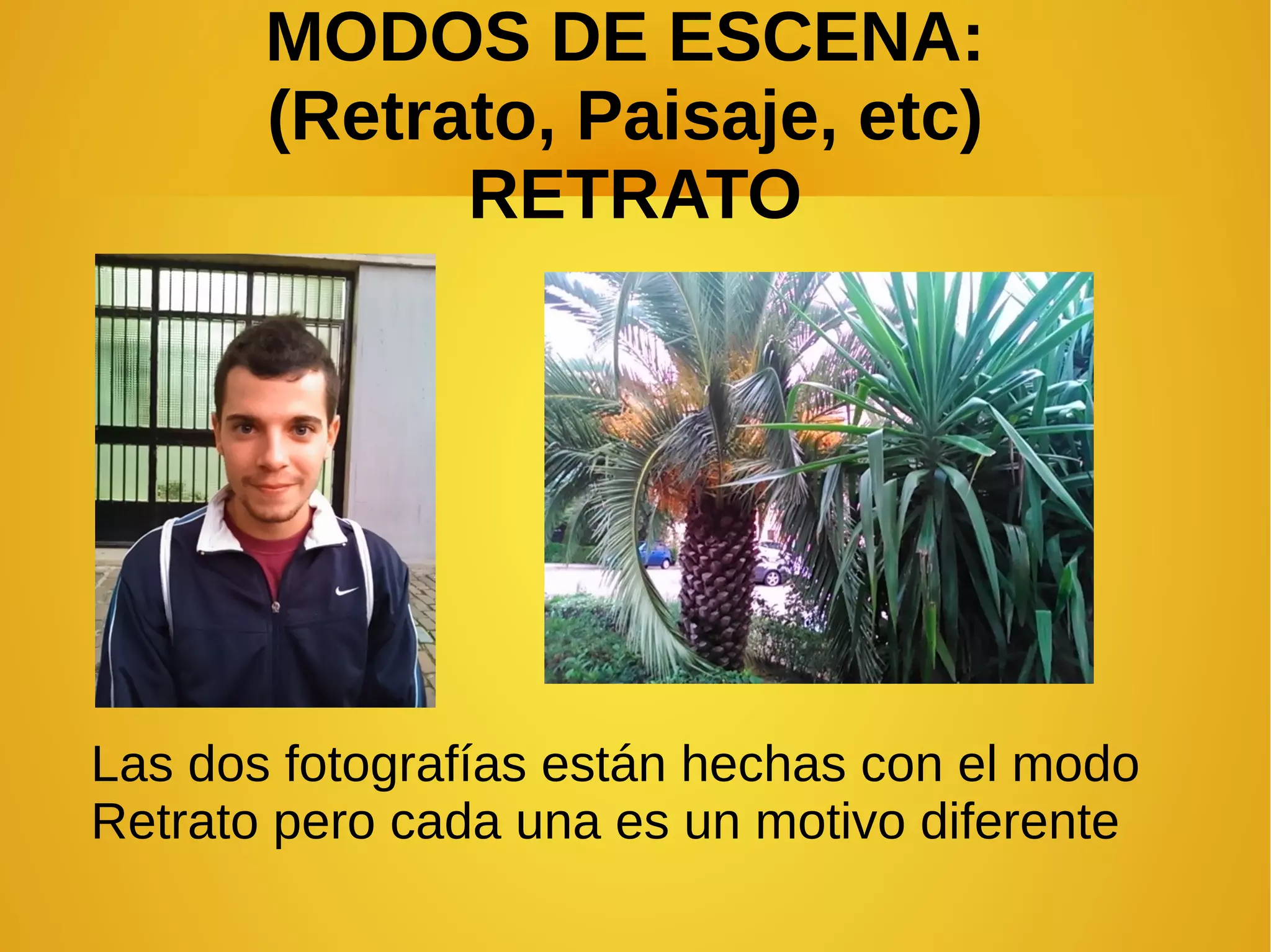MODOS DE ESCENA: 
(Retrato, Paisaje, etc) 
RETRATO 
Las dos fotografías están hechas con el modo 
Retrato pero cada una es un motivo diferente 
 