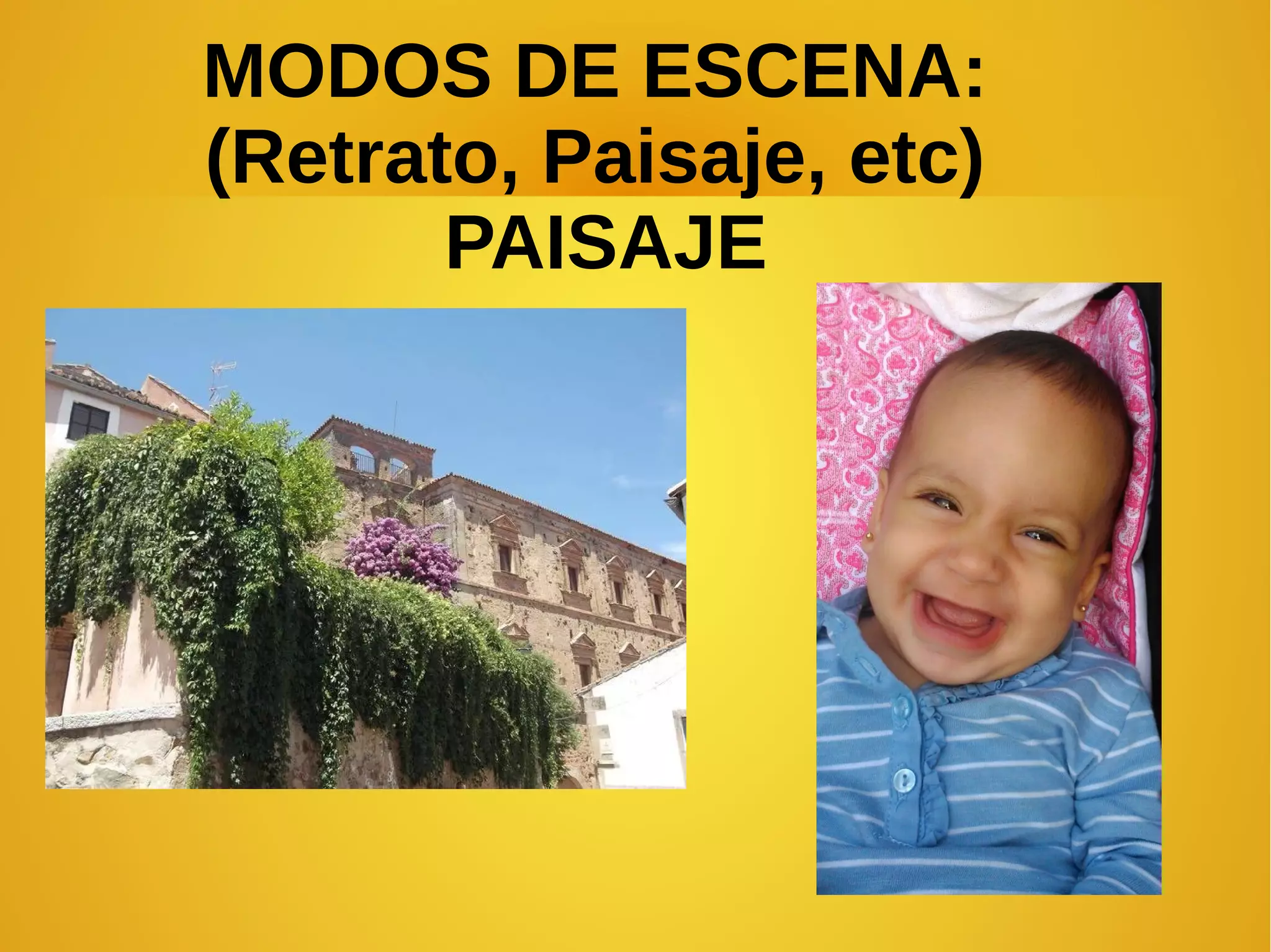 MODOS DE ESCENA: 
(Retrato, Paisaje, etc) 
PAISAJE 
 