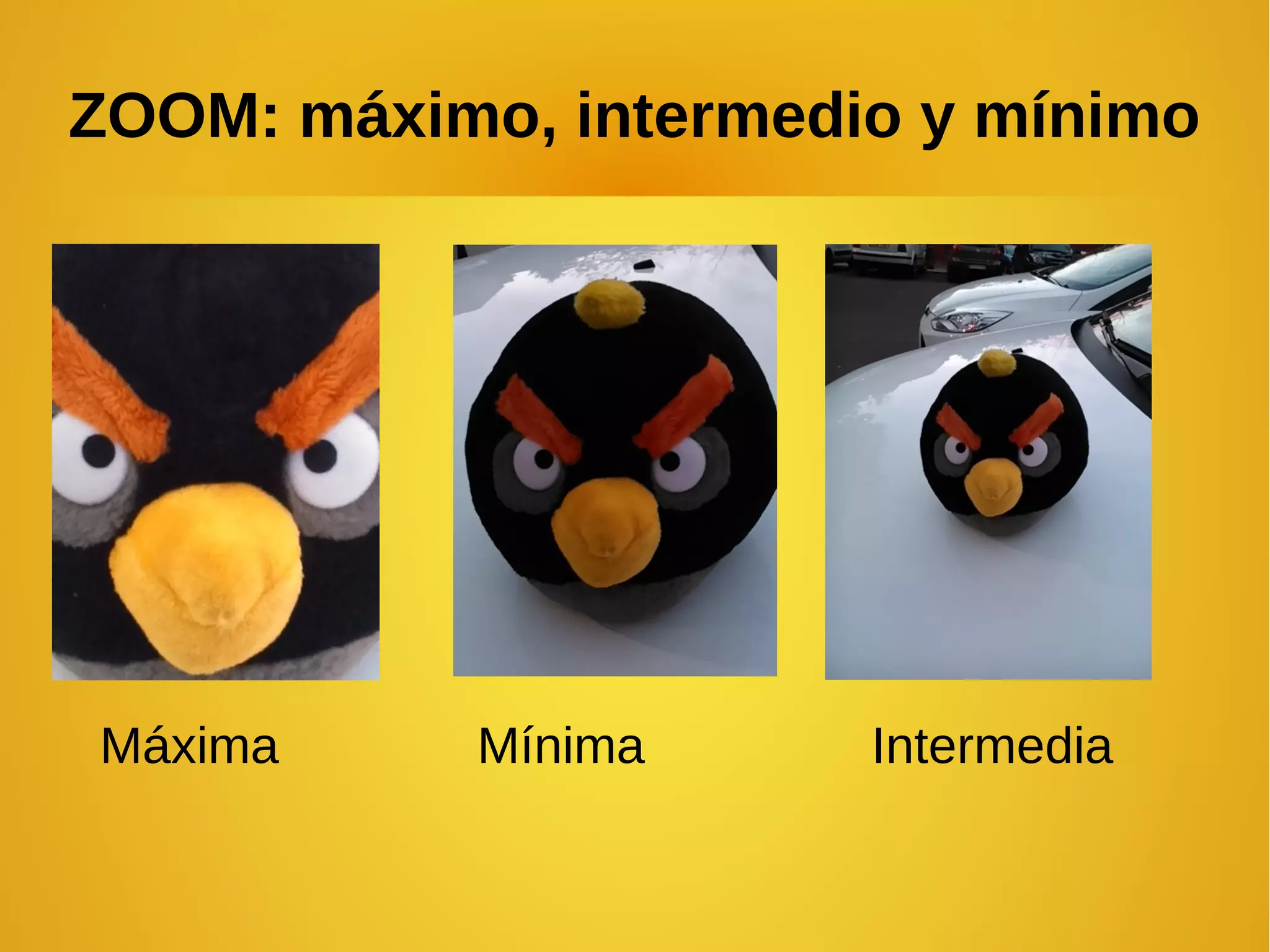ZOOM: máximo, intermedio y mínimo 
Máxima Mínima Intermedia 
