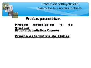 Pruebas de homogeneidad
paramétricas y no paramétricas
Pruebas paramétricas
Prueba estadística ¨t¨ de
Student
Prueba estadística Cramer
Prueba estadística de Fisher
 