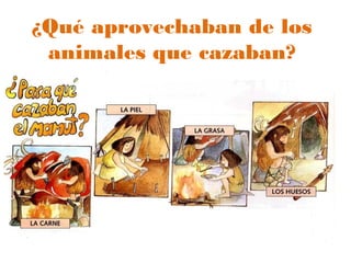 ¿Qué aprovechaban de los
animales que cazaban?
 