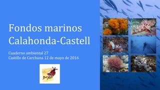 Fondos marinos
Calahonda-Castell
Cuaderno ambiental 27
Castillo de Carchuna 12 de mayo de 2016
 