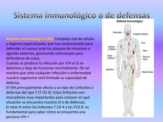 Compleja red de células
y órganos especializados que han evolucionado para
defender el cuerpo ante los ataques de invasores o
agentes externos, generando anticuerpos para
defenderse de estos.
Cuando se produce la infección por VIH el SI se
deteriora y deja de funcionar normalmente. De tal
manera que ante cualquier infección o enfermedad
nuestro organismo verá limitada su capacidad de
defensa.
El VIH principalmente afecta a un tipo de Linfocitos o
defensas del tipo T (T CD 4). Estos linfocitos son
marcadores muy importantes para conocer en qué
situación se encuentra nuestro SI o de defensas.
El ratio % entre los linfocitos T CD 4 y los TCD 8 es
fundamental para saber cómo se encuentra una
persona VIH +
 