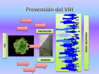 PREVENCIÓN




                   POBLACIÓN DIANA
VIH




       BARRERA
 