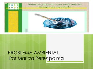 PROBLEMA AMBIENTAL
Por Maritza Pérez paima

 