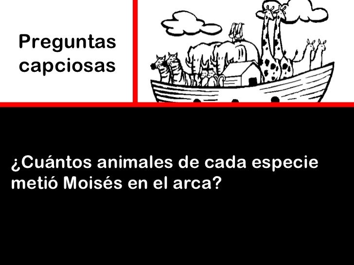 Cuantos Animales Metio Moises Al Arca
