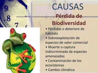 Protocolo de Kyoto• El objetivo principal es luchar contra losefectos del cambio climático.• El compromiso será de obligatoriocumplimiento cuando lo ratifiquen lospaíses industrializados responsables de,al menos, un 55% de las emisiones deCO2.• Con la ratificación de Rusia en marzo de2005, después de conseguir que la UEpague la reconversión industrial rusa,así como la modernización de susinstalaciones, en especial las petroleras,el protocolo ha entrado en vigor, con lacontinua oposición de los EUA.
